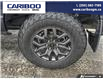 2023 Ford F-150 Tremor (Stk: 3035A) in Quesnel - Image 6 of 21