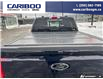 2023 Ford F-150 Tremor (Stk: 3035A) in Quesnel - Image 8 of 21