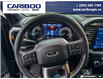 2023 Ford F-150 Tremor (Stk: 3035A) in Quesnel - Image 10 of 21