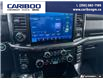 2023 Ford F-150 Tremor (Stk: 3035A) in Quesnel - Image 15 of 21