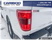 2022 Ford F-150 XLT (Stk: 1186) in Quesnel - Image 11 of 25 2022 Ford F-150 XLT (Stk: 1186) in Quesnel - Image 11 of 25