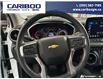 2025 Chevrolet Blazer LT (Stk: 9972) in Williams Lake - Image 14 of 25