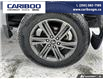 2022 Ford F-150 XLT (Stk: 3072) in Quesnel - Image 6 of 25