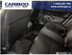 2025 Honda Civic Sport (Stk: 9966B) in Williams Lake - Image 23 of 25