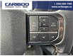 2022 Ford F-150 Tremor (Stk: 26T019A) in Quesnel - Image 16 of 25