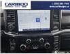 2022 Ford F-150 Tremor (Stk: 26T019A) in Quesnel - Image 19 of 25