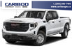 2023 GMC Sierra 1500 Pro (Stk: 26T080A) in Williams Lake - Image 1 of 11