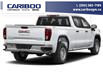 2023 GMC Sierra 1500 Pro (Stk: 26T080A) in Williams Lake - Image 3 of 11