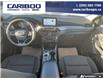 2024 Ford Escape Active (Stk: 25290A) in Dawson Creek - Image 23 of 24 2024 Ford Escape Active (Stk: 25290A) in Dawson Creek - Image 23 of 24