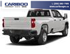 2020 Chevrolet Silverado 3500HD Work Truck (Stk: 5653A) in Vanderhoof - Image 3 of 11