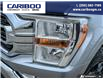2023 Ford F-150 XLT (Stk: 3075) in Quesnel - Image 8 of 25