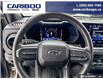 2023 Chevrolet Colorado Trail Boss (Stk: 5757A) in Vanderhoof - Image 11 of 21