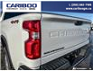 2023 Chevrolet Silverado 3500HD LTZ (Stk: PO2358) in Dawson Creek - Image 10 of 24