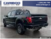 2024 Ford F-150 Tremor (Stk: 25T026A) in Quesnel - Image 4 of 25