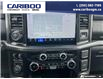 2024 Ford F-150 Tremor (Stk: 25T026A) in Quesnel - Image 19 of 25