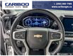 2025 Chevrolet Silverado 1500 LT (Stk: 5749A) in Vanderhoof - Image 11 of 21