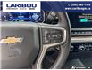2025 Chevrolet Silverado 1500 LT (Stk: 5749A) in Vanderhoof - Image 13 of 21