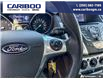 2014 Ford Focus SE (Stk: 5672C) in Vanderhoof - Image 13 of 21
