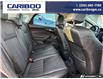 2014 Ford Focus SE (Stk: 5672C) in Vanderhoof - Image 19 of 21