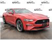 2018 Ford Mustang GT Premium (Stk: 36206AUX) in Barrie - Image 1 of 24