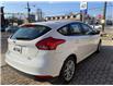 2016 Ford Focus SE (Stk: F231713) in Hamilton - Image 5 of 16