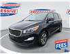 2019 Kia Sedona SX+ (Stk: K6462155T) in Sarnia - Image 1 of 17