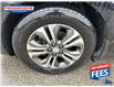 2019 Kia Sedona SX+ (Stk: K6462155T) in Sarnia - Image 3 of 17
