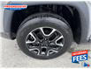 2019 Jeep Compass Trailhawk (Stk: KT760447) in Sarnia - Image 3 of 16