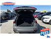 2021 Audi Q3 45 Technik (Stk: M1078227) in Sarnia - Image 17 of 20