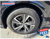 2025 Lexus RX 350h Base (Stk: SC077913) in Sarnia - Image 3 of 15