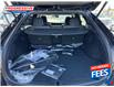 2025 Lexus RX 350h Base (Stk: SC077913) in Sarnia - Image 15 of 15