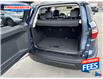 2021 Ford EcoSport SES (Stk: MC429786) in Sarnia - Image 16 of 17