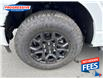 2024 Ford F-150 XLT (Stk: RKF40939) in Sarnia - Image 3 of 17
