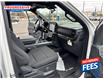 2024 Ford F-150 XLT (Stk: RKF40939) in Sarnia - Image 17 of 17