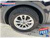 2021 Ford Escape SE (Stk: MUA61140) in Sarnia - Image 3 of 12