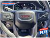 2023 GMC Sierra 1500 AT4 (Stk: PZ289399) in Sarnia - Image 15 of 25