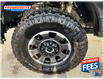 2023 Ford F-250 Platinum (Stk: PED60270) in Sarnia - Image 3 of 16