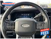 2023 Ford F-250 Platinum (Stk: PED60270) in Sarnia - Image 7 of 16
