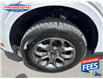 2023 Ford Maverick XLT (Stk: PRA60846) in Sarnia - Image 11 of 24
