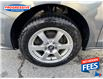2016 Volkswagen Jetta 1.4 TSI Trendline+ (Stk: GM297586) in Sarnia - Image 3 of 13