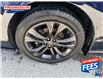 2022 Toyota Sienna XSE 7-Passenger (Stk: NS131504T) in Sarnia - Image 3 of 18