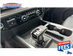 2023 Chevrolet Silverado 1500 RST (Stk: PZ165503P) in Sarnia - Image 13 of 19