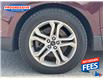 2017 Ford Edge Titanium (Stk: HBB70024T) in Sarnia - Image 3 of 18