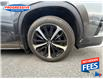 2021 Toyota Highlander XSE (Stk: MS080522) in Sarnia - Image 3 of 18