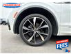 2022 Volkswagen Tiguan Highline R-Line (Stk: NM096099) in Sarnia - Image 3 of 17