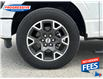 2024 Ford F-150 STX (Stk: RKD83416P) in Sarnia - Image 3 of 17