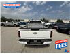 2024 Ford F-150 STX (Stk: RKD83416P) in Sarnia - Image 15 of 17