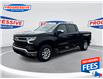 2023 Chevrolet Silverado 1500 LT (Stk: PG120398) in Sarnia - Image 1 of 24