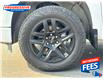2023 Chevrolet Silverado 1500 RST (Stk: P1115635) in Sarnia - Image 11 of 24