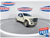 2022 Ford F-250 Platinum (Stk: NEE27800) in Sarnia - Image 3 of 26